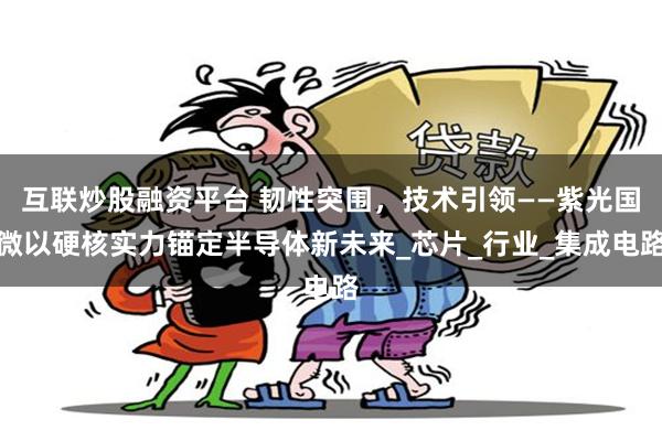 互联炒股融资平台 韧性突围，技术引领——紫光国微以硬核实力锚定半导体新未来_芯片_行业_集成电路
