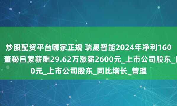 炒股配资平台哪家正规 瑞晟智能2024年净利1600万增长42%：董秘吕蒙薪酬29.62万涨薪2600元_上市公司股东_同比增长_管理
