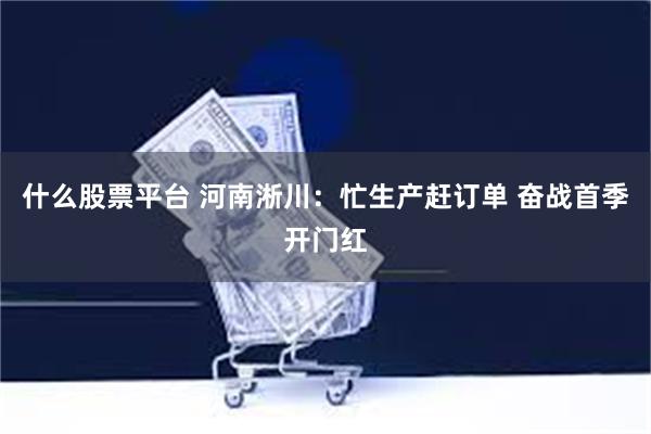 什么股票平台 河南淅川：忙生产赶订单 奋战首季开门红