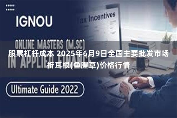 股票杠杆成本 2025年6月9日全国主要批发市场折耳根(鱼腥草)价格行情