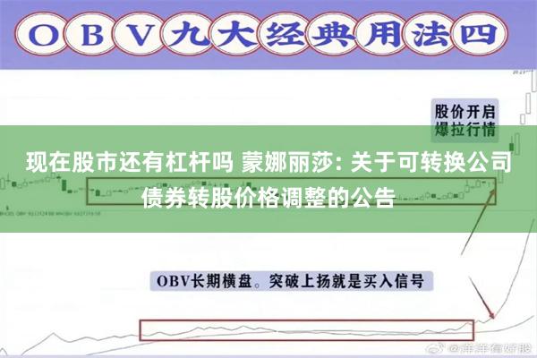 现在股市还有杠杆吗 蒙娜丽莎: 关于可转换公司债券转股价格调整的公告